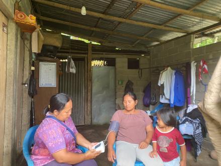 Kunjungan Ibu Hamil Di Desa Madenan